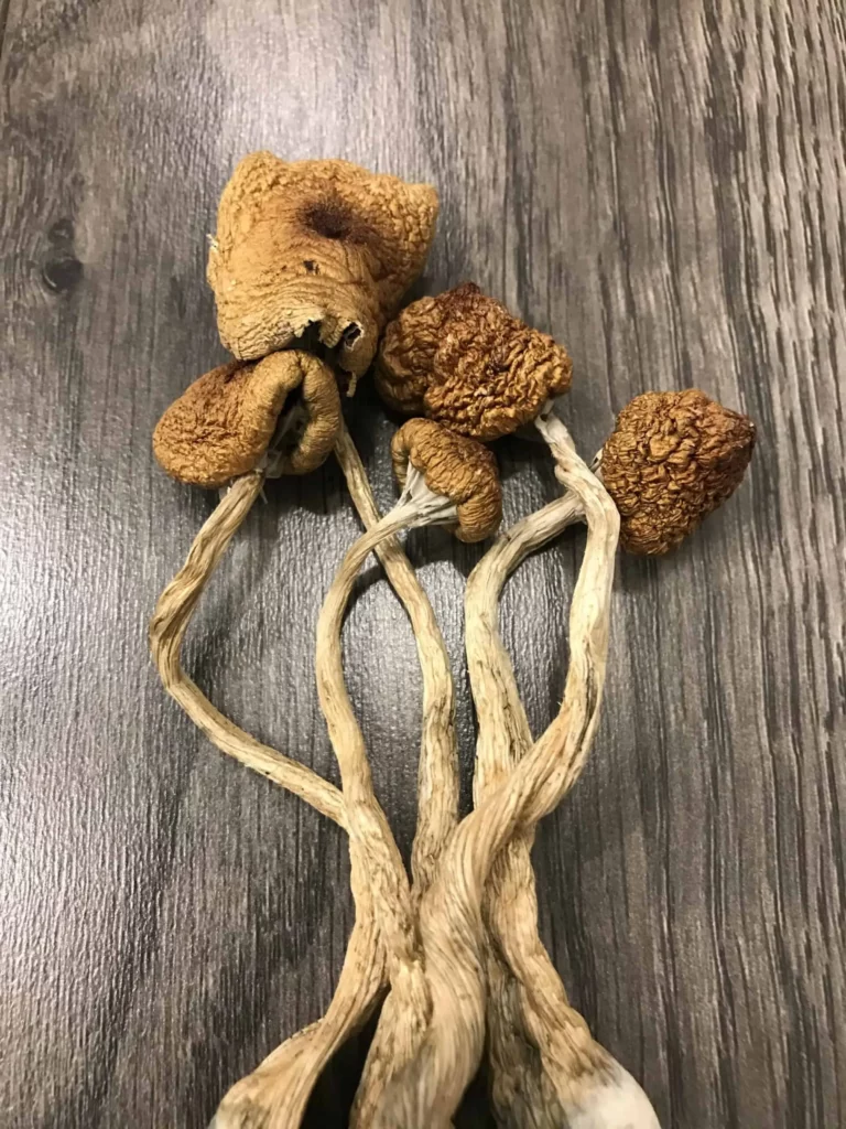 Best Online Shops to Purchase Magic Mushrooms in the U.S.